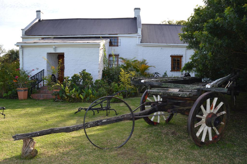 Morley House Bathurst Exterior photo